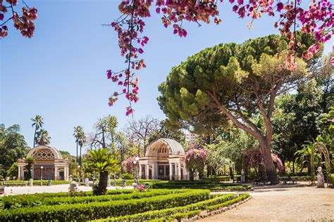 Il Giardino Botanico di Jos: Un'Oasi Verde di Tranquillità nel Cuore della Nigeria!